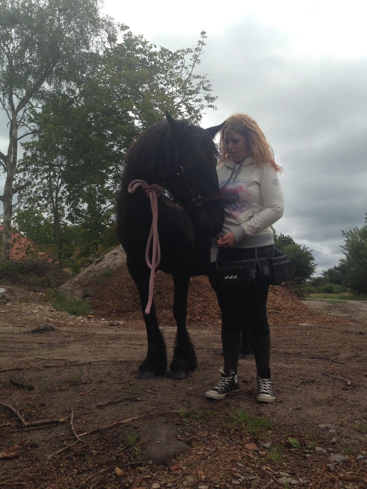 Fell pony Ellegaards Donna billede 25