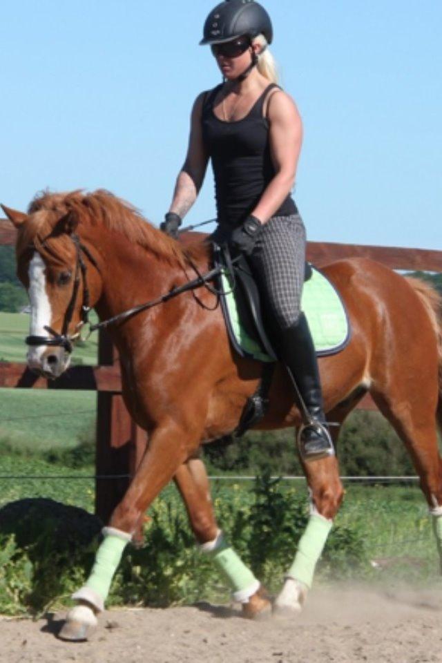 Anden særlig race Trevano billede 6