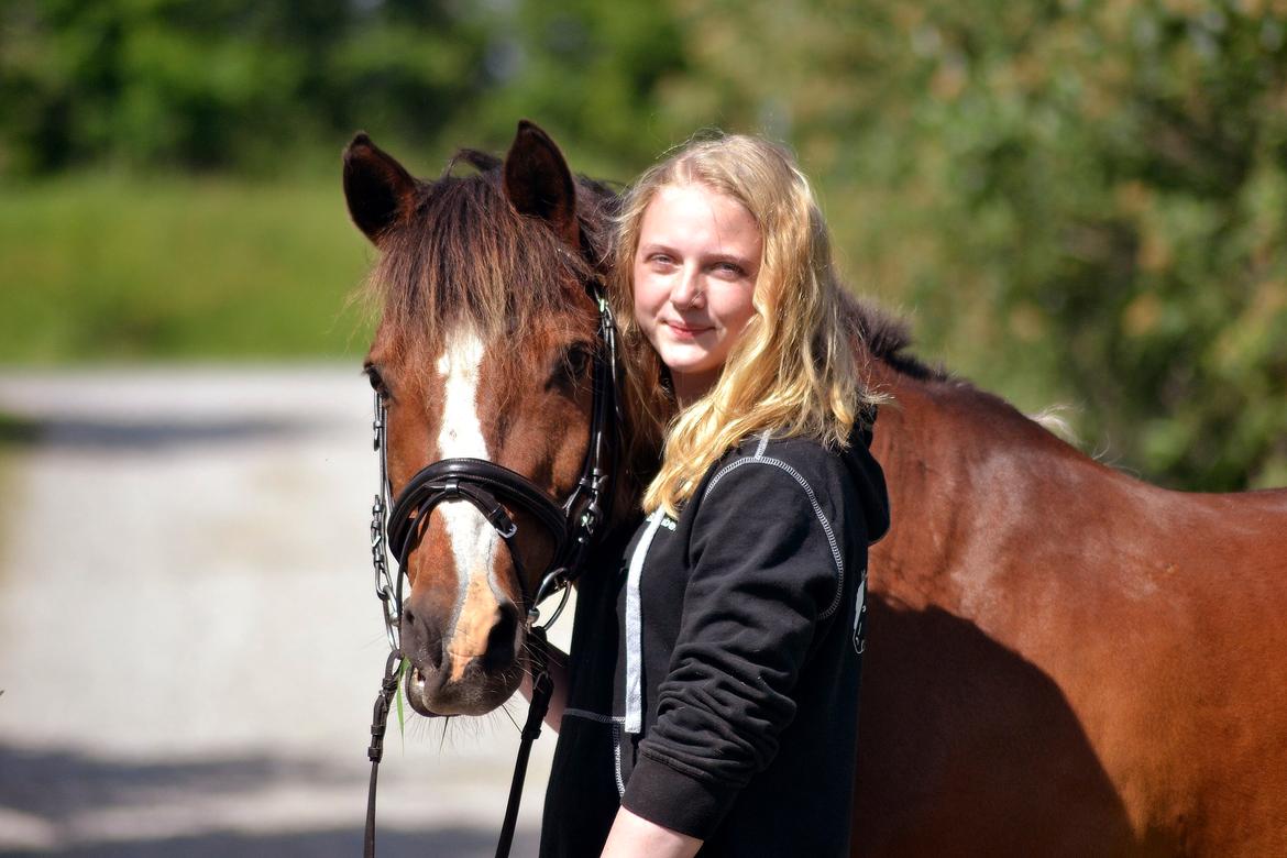 Anden særlig race Rubin Star (Buller) billede 18