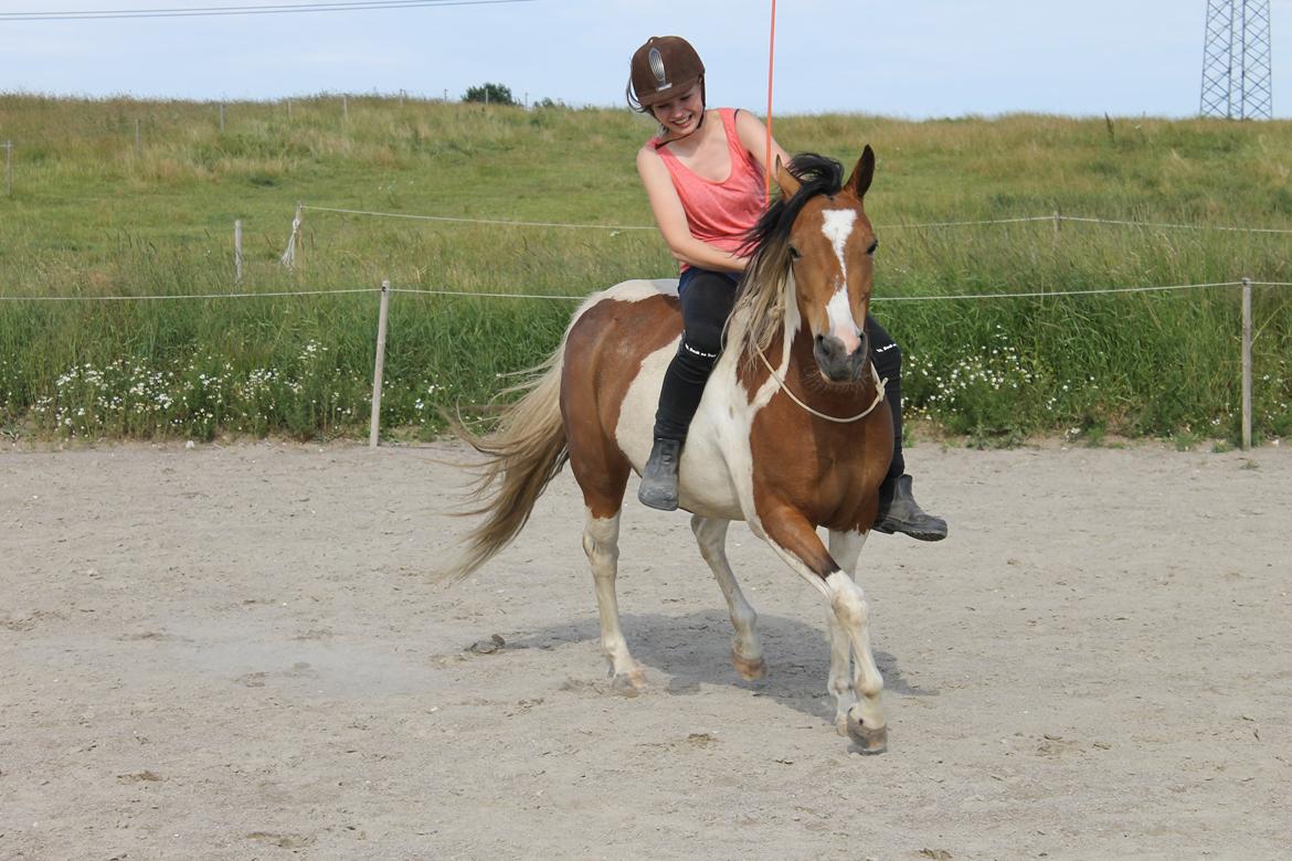 Pinto Padmé - My Soulmate - Woops, kæmper for at holde mig oppe, mens ponyen er totalt cool 2014 billede 10