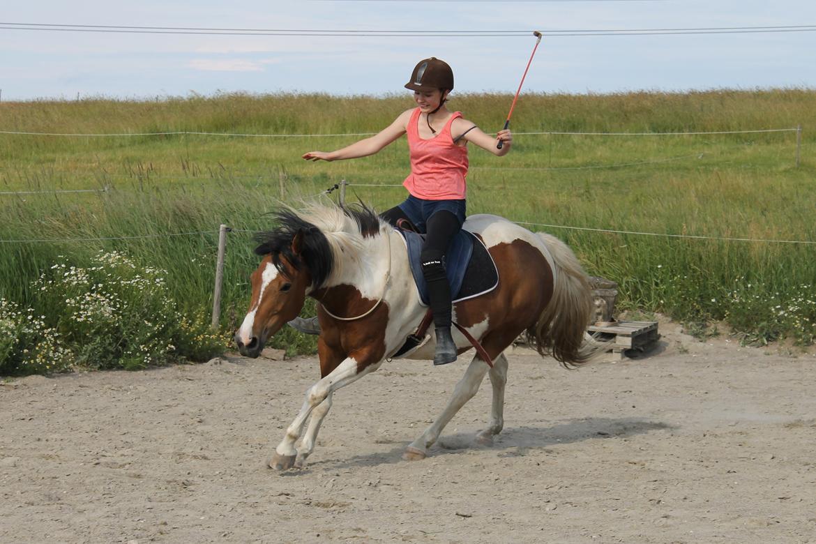 Pinto Padmé - My Soulmate - En smule ultimativ fjolning - 2014 billede 12