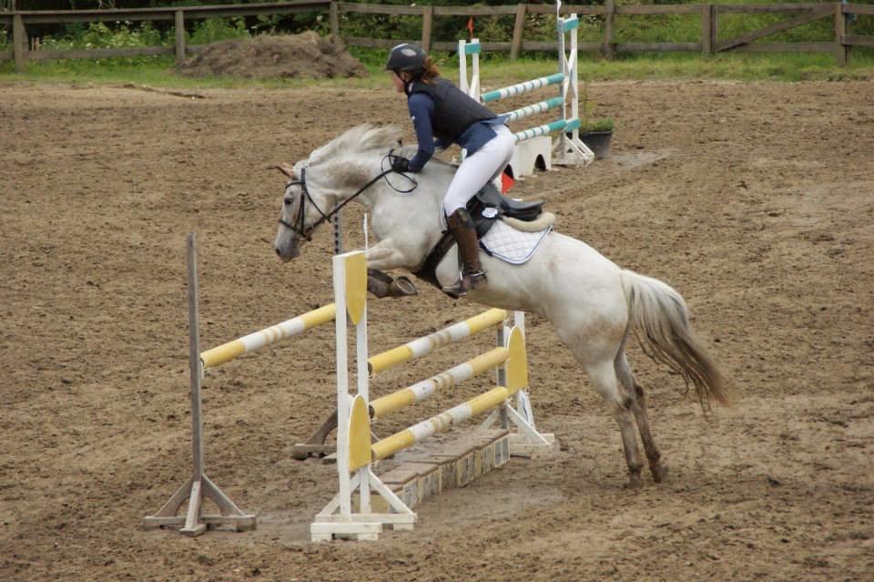 Anden særlig race KARIZMA [Tidl. Lånepony] - D-14 distriksmesterskab 2014 2. uplacert! Taget af: Louise Møller billede 2