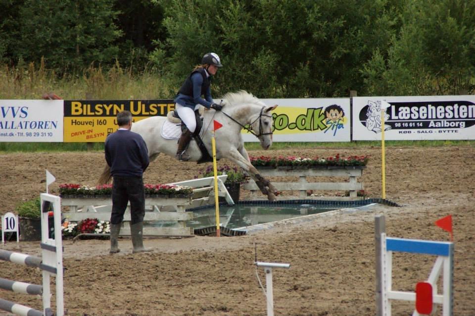 Anden særlig race KARIZMA [Tidl. Lånepony] - D-14 distriksmesterskab 2014 2. uplacert! Taget af: Louise Møller billede 7