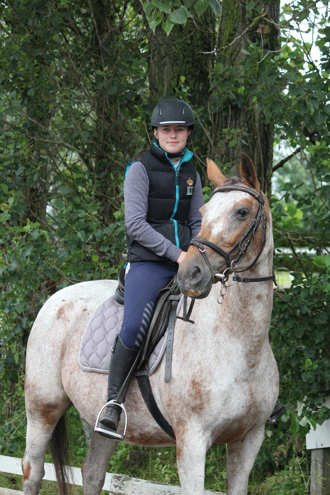 Knabstrupper Tessa <3 billede 10