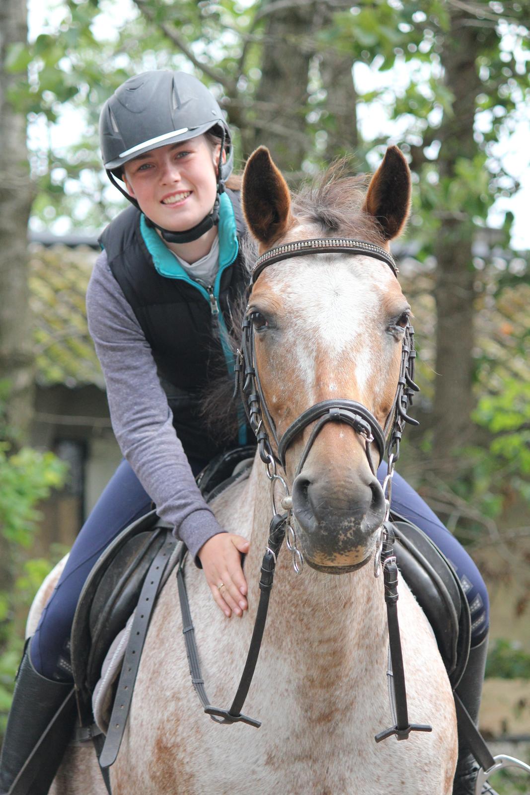 Knabstrupper Tessa <3 billede 1