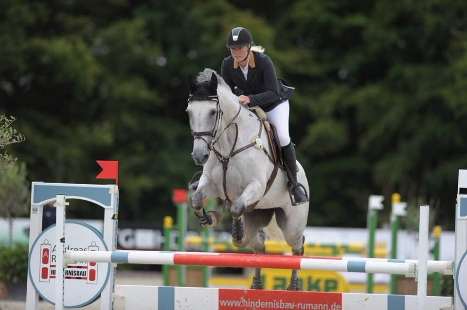 Dansk Varmblod CARIBA billede 11