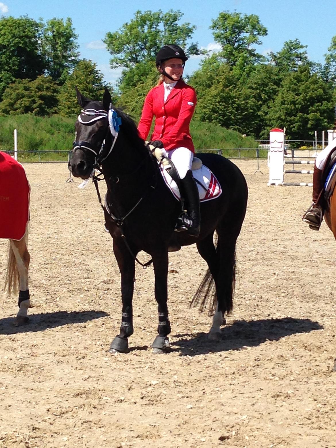 New Forest Vognmandgårdens To Night - A Pony - Århusmesterskaberne 2014 - Nr. 2 i LC med stil karakter på 9,25 billede 17