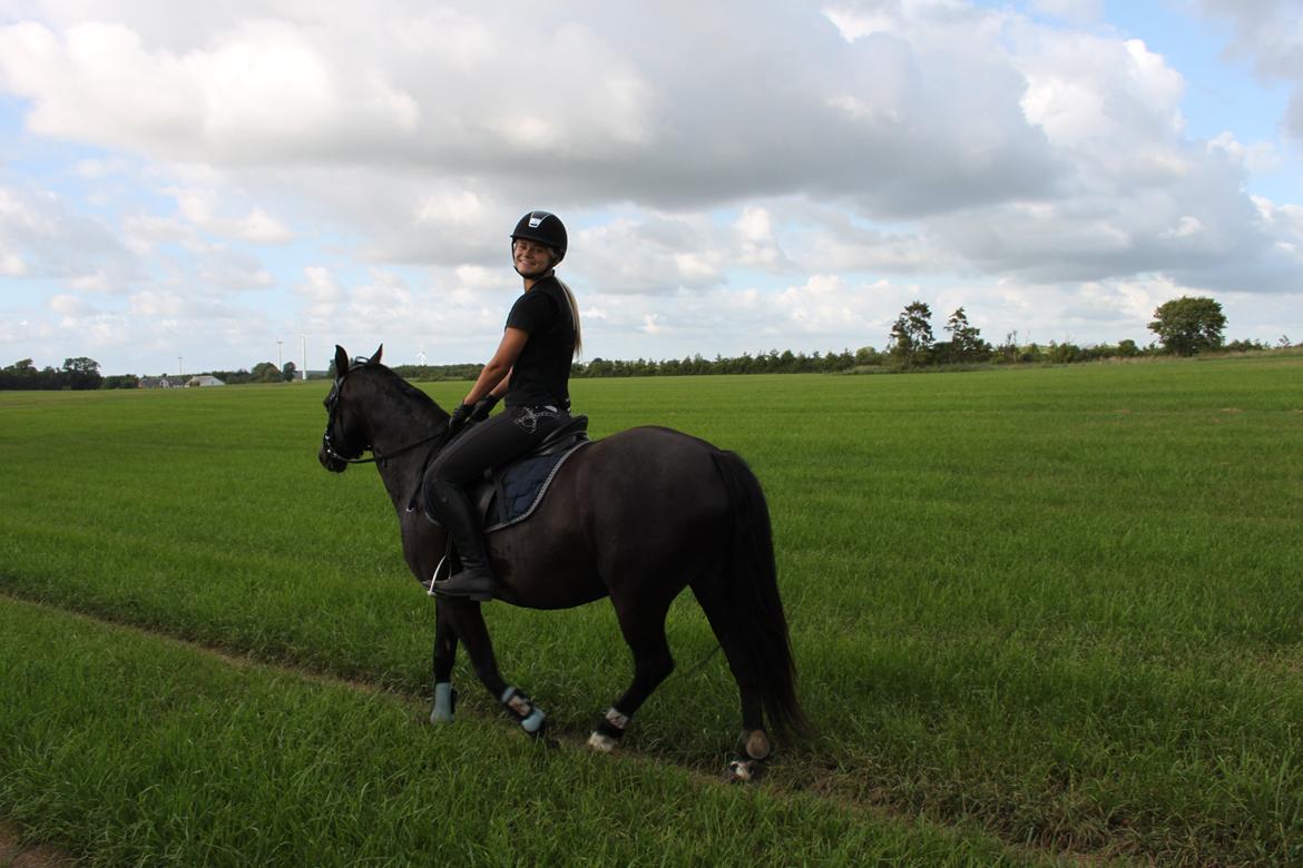 DSP Bakkegaarden's Mrs Magic - Tur med Magic billede 13