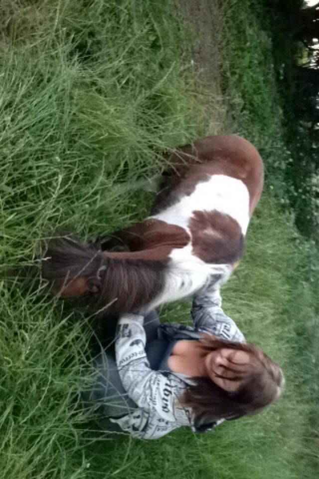 Anden særlig race Balou billede 5