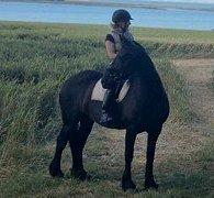 Frieser Freja billede 12