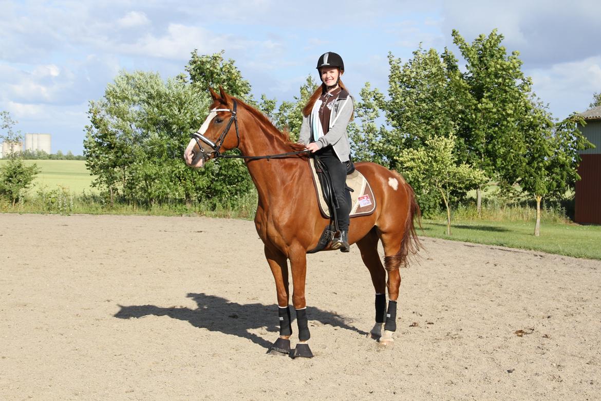 Hannoveraner Grønskovlund's Limelight - "I find that the harder I work, the more luck I seem to have" billede 17