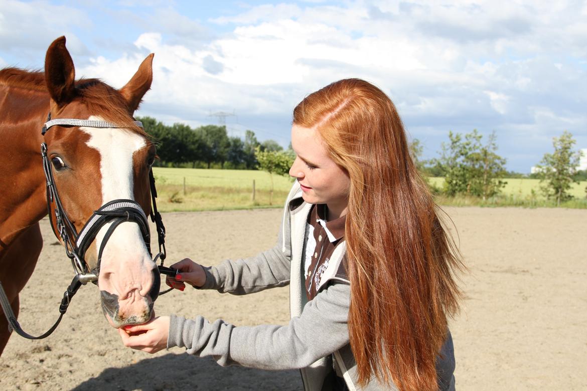 Hannoveraner Grønskovlund's Limelight - Nyder en gulerød på vores 2 måneders-dag <3 billede 19