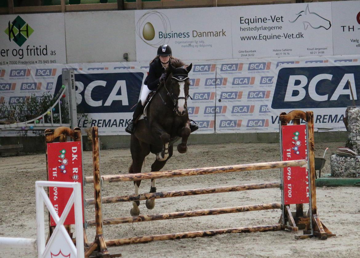 Belgisk varmblod D´Amour V/H Dennenhof - Stævne i Fredericia i LA1* Foto - Simone billede 49