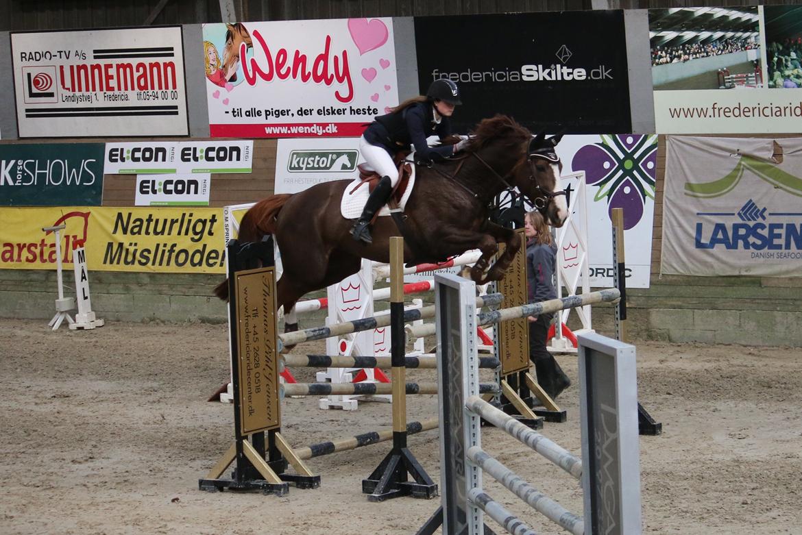 Belgisk varmblod D´Amour V/H Dennenhof - Stævne i fredericia i LA2** Foto - Simone billede 25