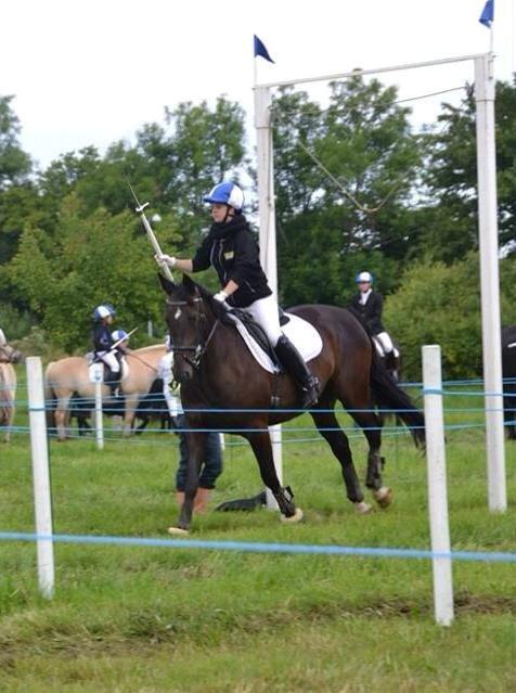 Anden særlig race New princess - Ringridning d. 28.06.14 billede 4