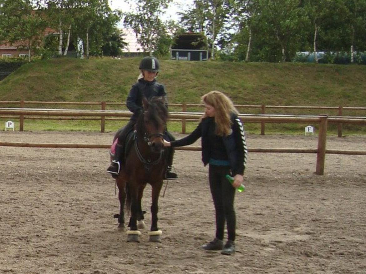 Anden særlig race Dior billede 14