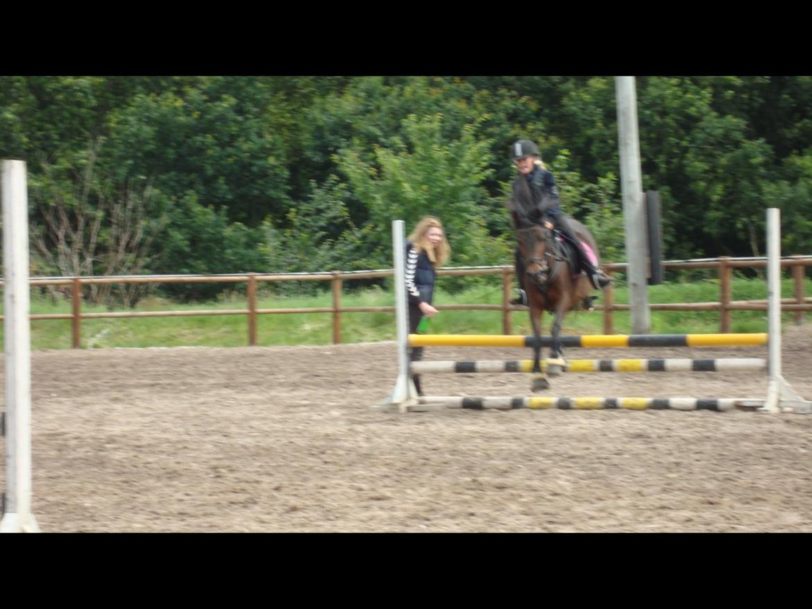 Anden særlig race Dior billede 15