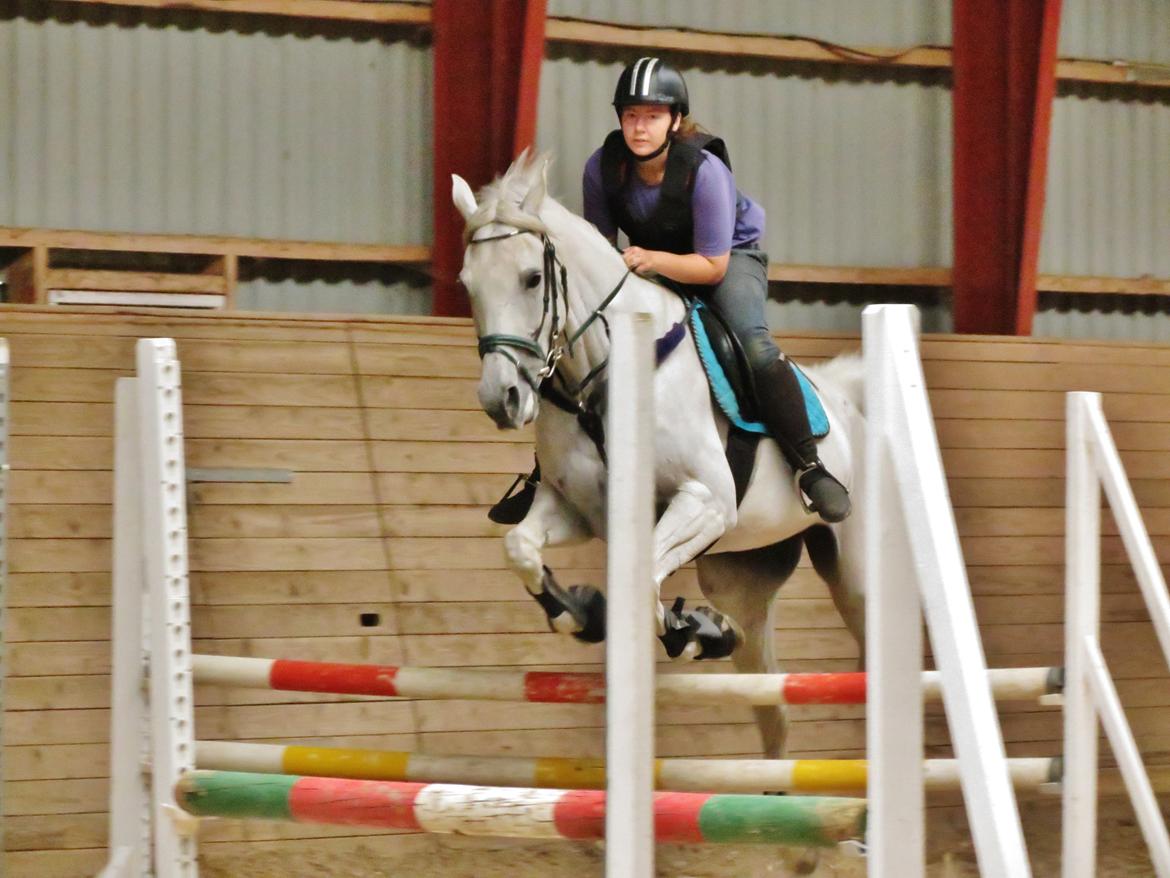 Anden særlig race Just My Luck (Lucky) - Sommer 2014 billede 4