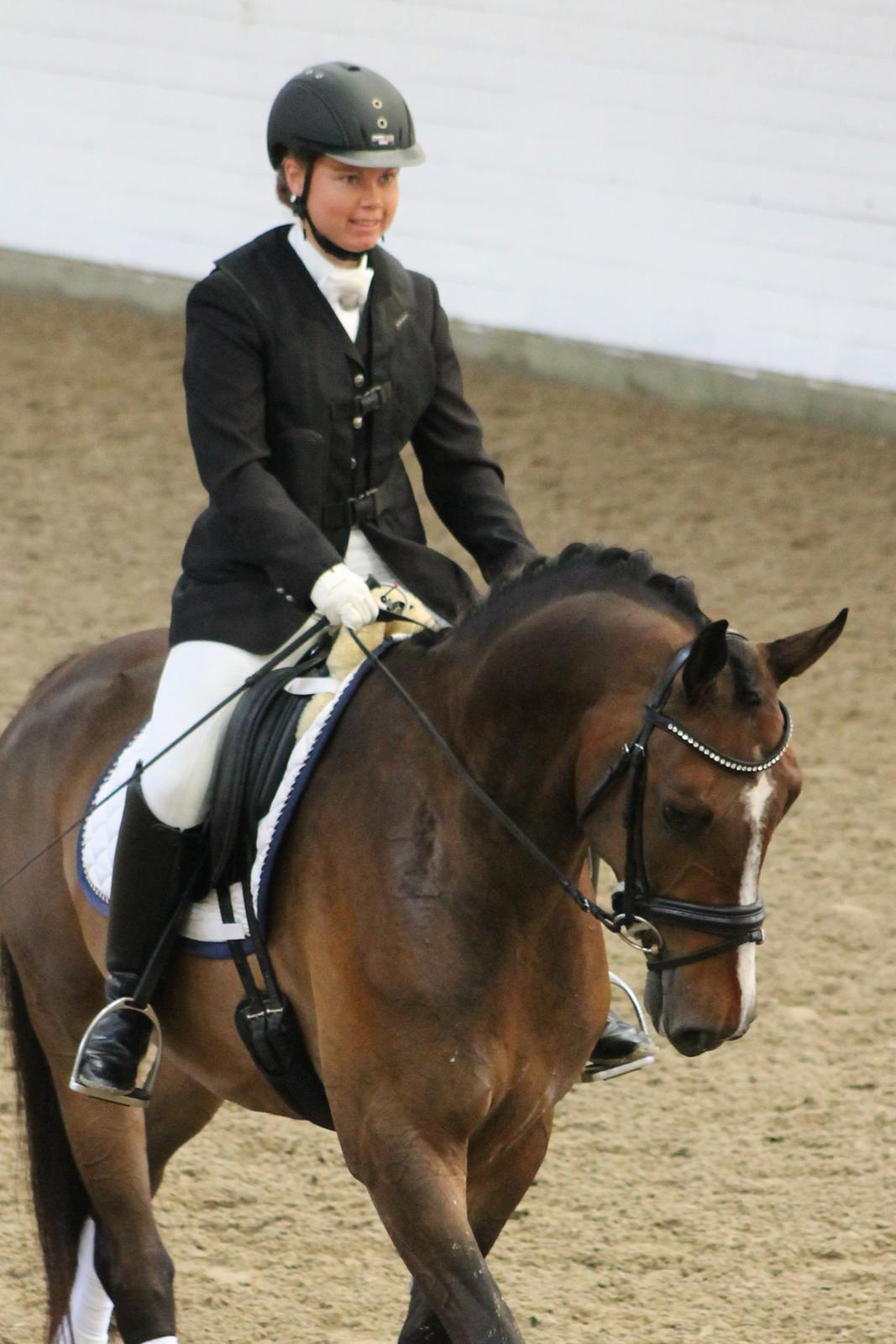 Dansk Varmblod Fight Hour billede 17