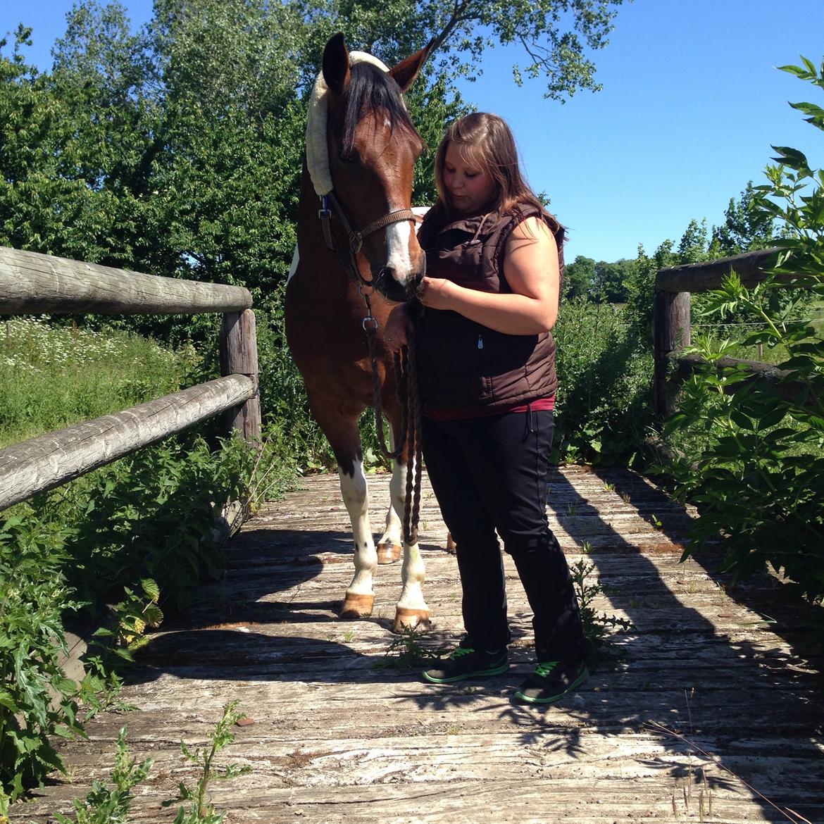 Pinto Check Me Out billede 20