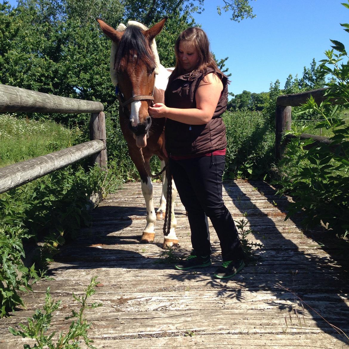 Pinto Check Me Out billede 21