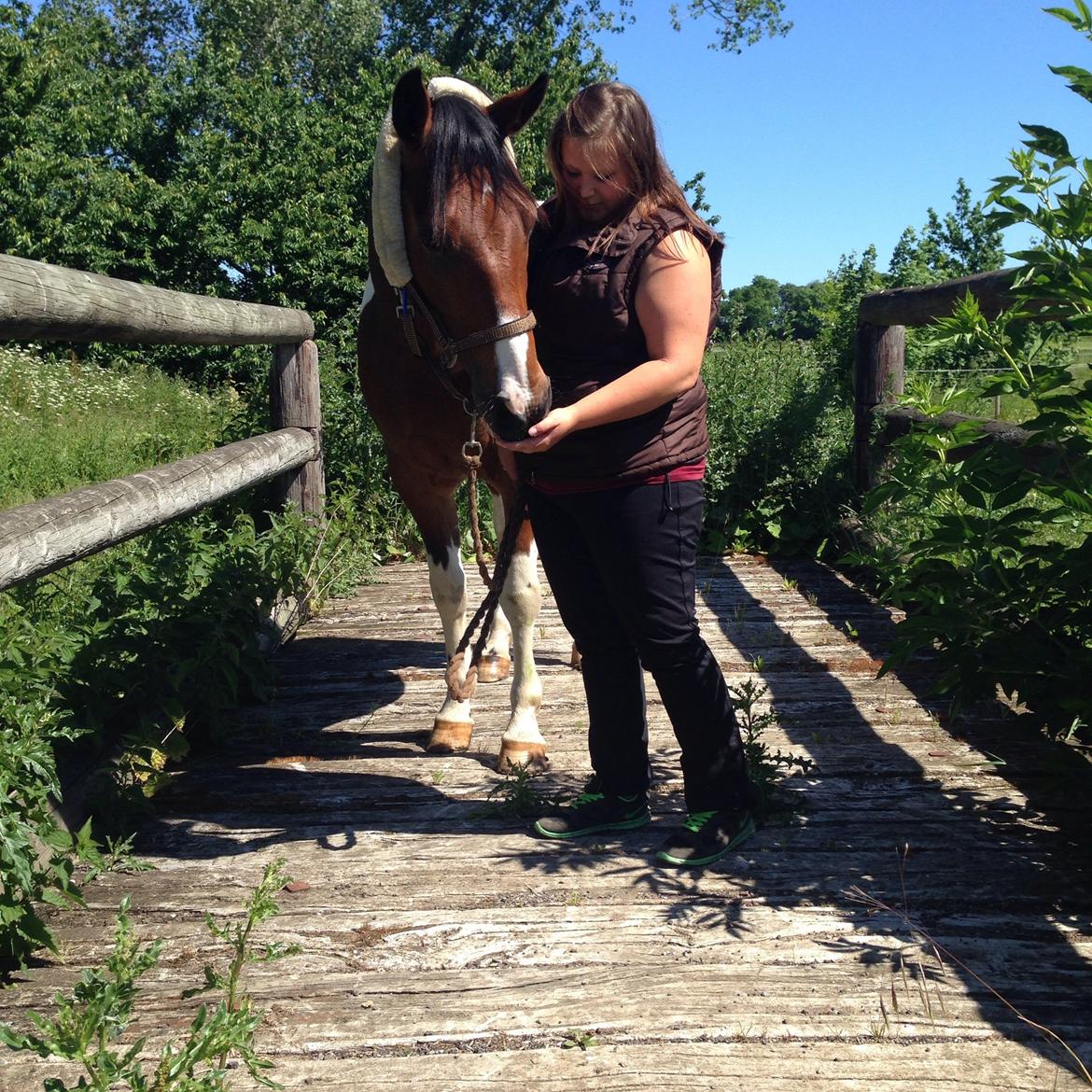 Pinto Check Me Out billede 22