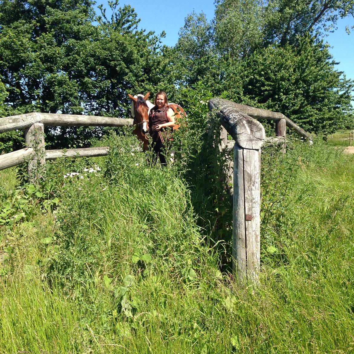 Pinto Check Me Out billede 24