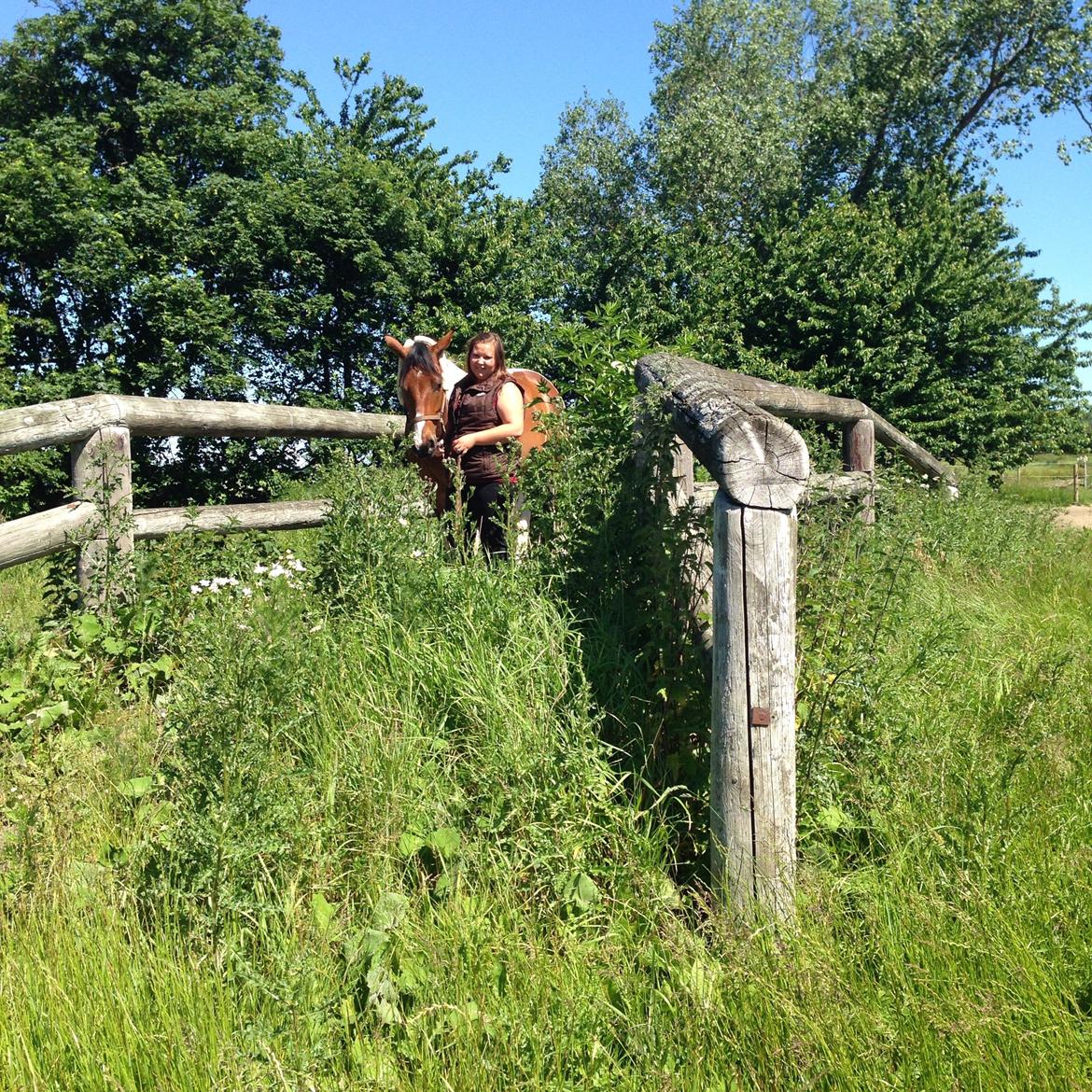 Pinto Check Me Out billede 23