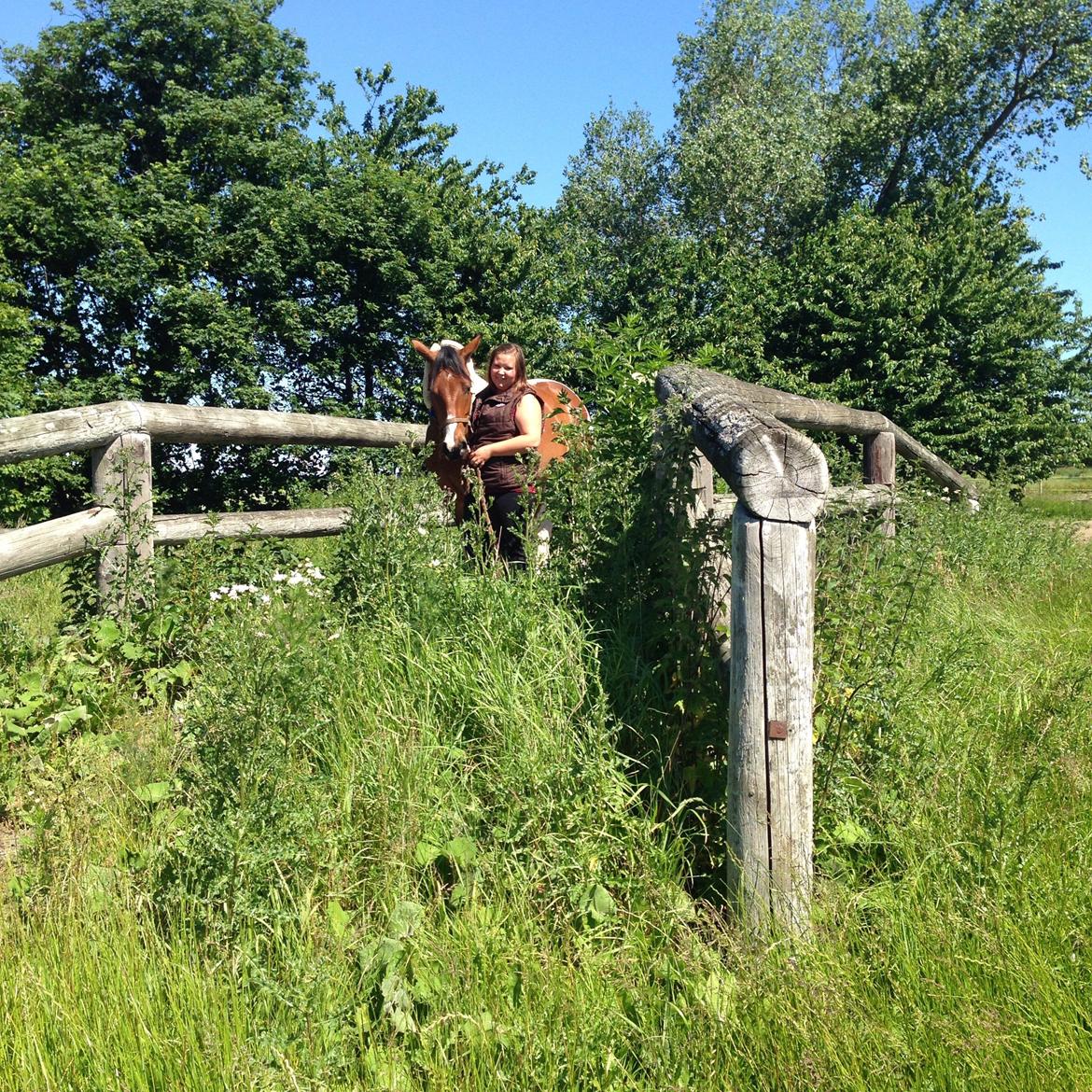 Pinto Check Me Out billede 25