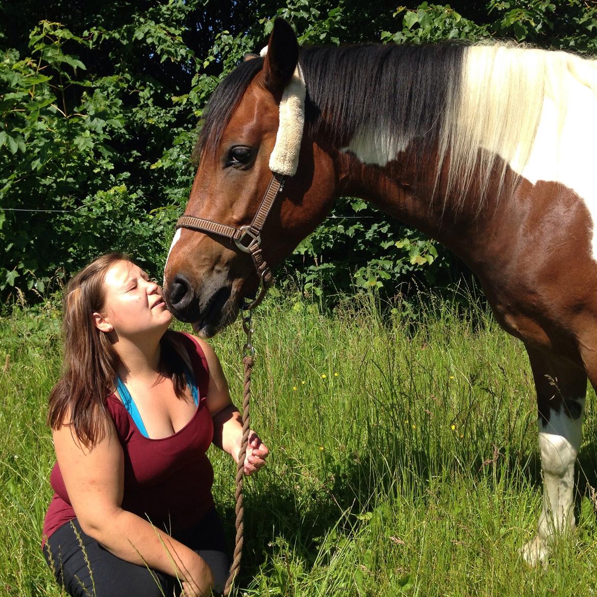 Pinto Check Me Out billede 26