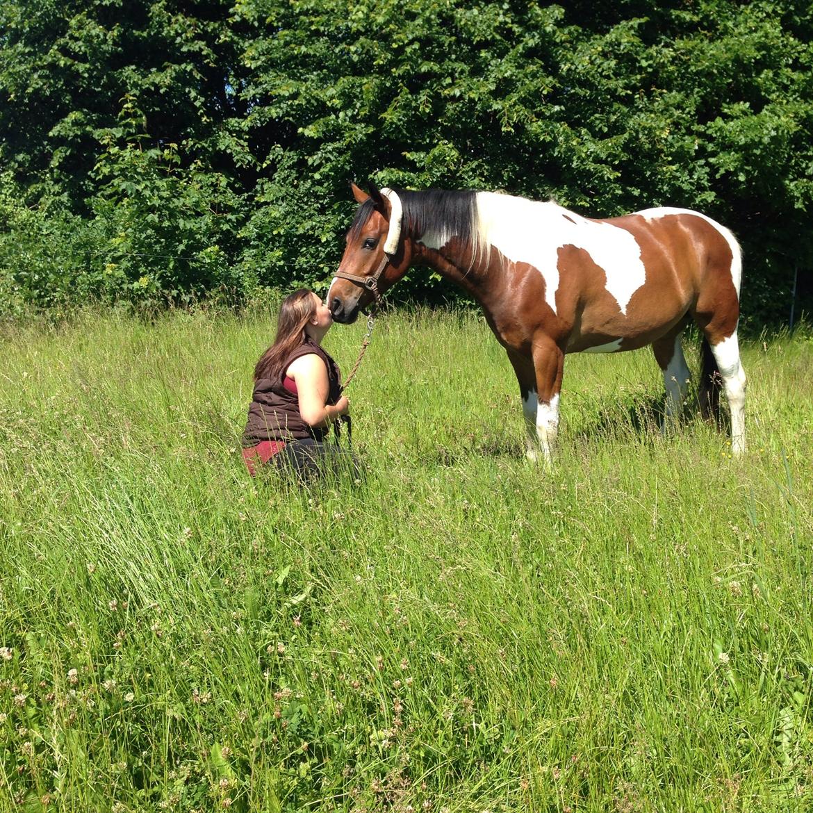 Pinto Check Me Out billede 27