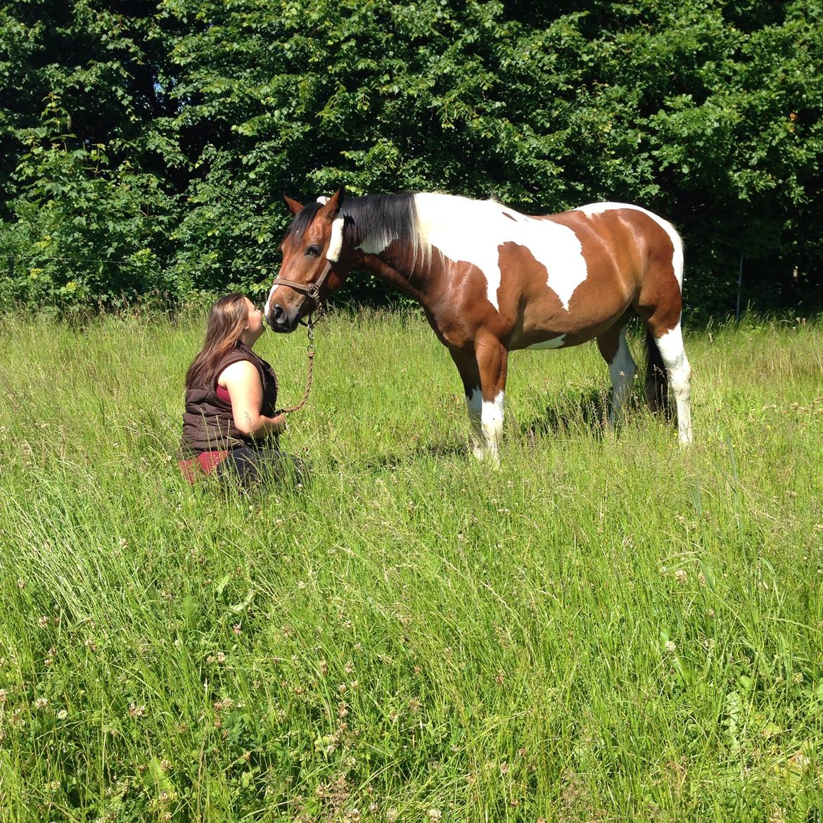 Pinto Check Me Out billede 28