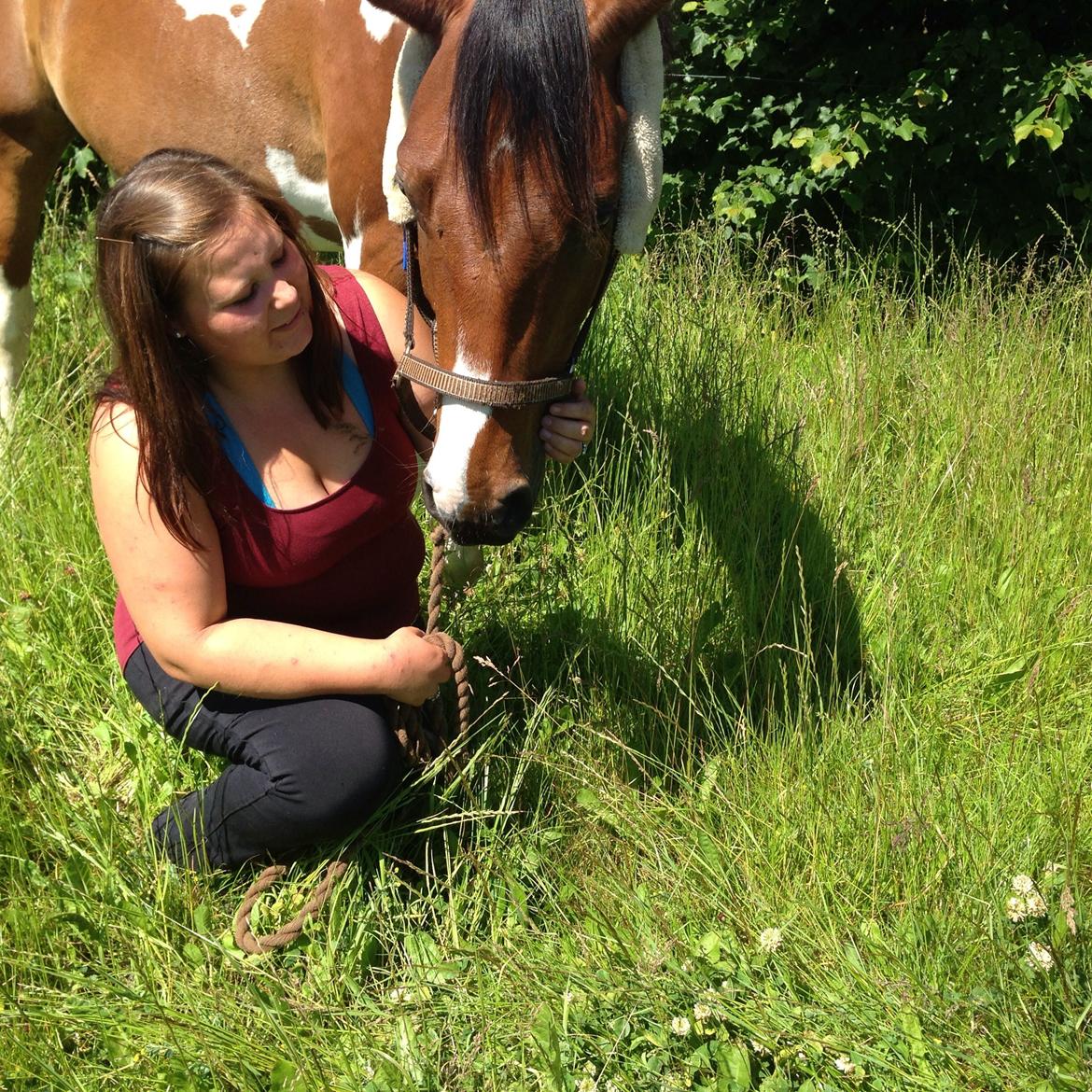 Pinto Check Me Out billede 31