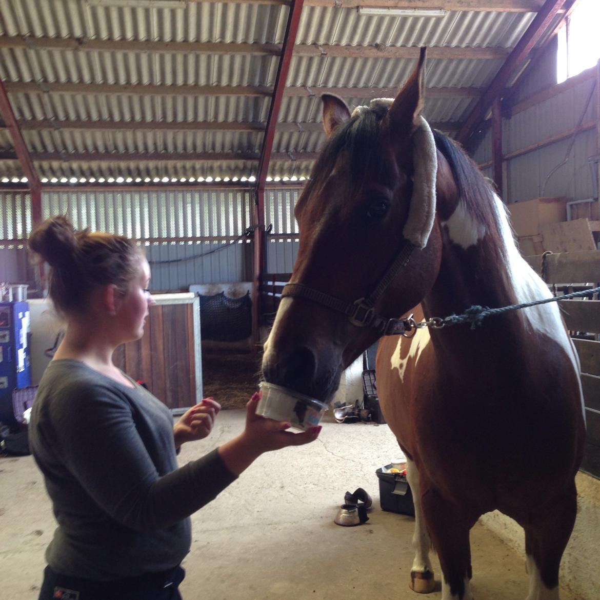 Pinto Check Me Out billede 32