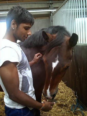 Connemara Limelight (Tidl part) billede 15