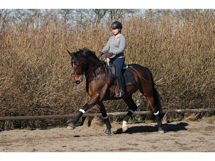 {{currentPhoto.altText}} billede {{currentPhoto.number}}