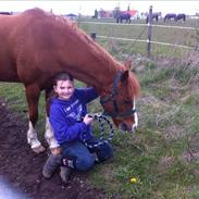 Anden særlig race Fireball <3 vsr #denbedstepony