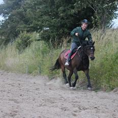 Anden særlig race Freja