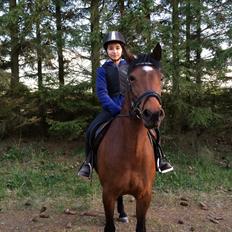 Anden særlig race Rosie Palace Princess *min stjerne*