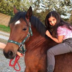 Anden særlig race Rosie Palace Princess *min stjerne*