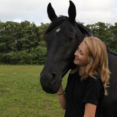 Anden særlig race MartiniQue, ^^min savnede hest