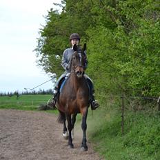 Anden særlig race Merza´s Gwendolyn