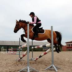 Anden særlig race Lady