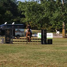 New Forest Kjølens fabel