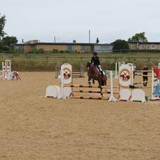 New Forest Kjølens fabel