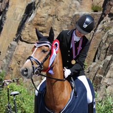 Hollandsk Sportspony Lasco A-pony