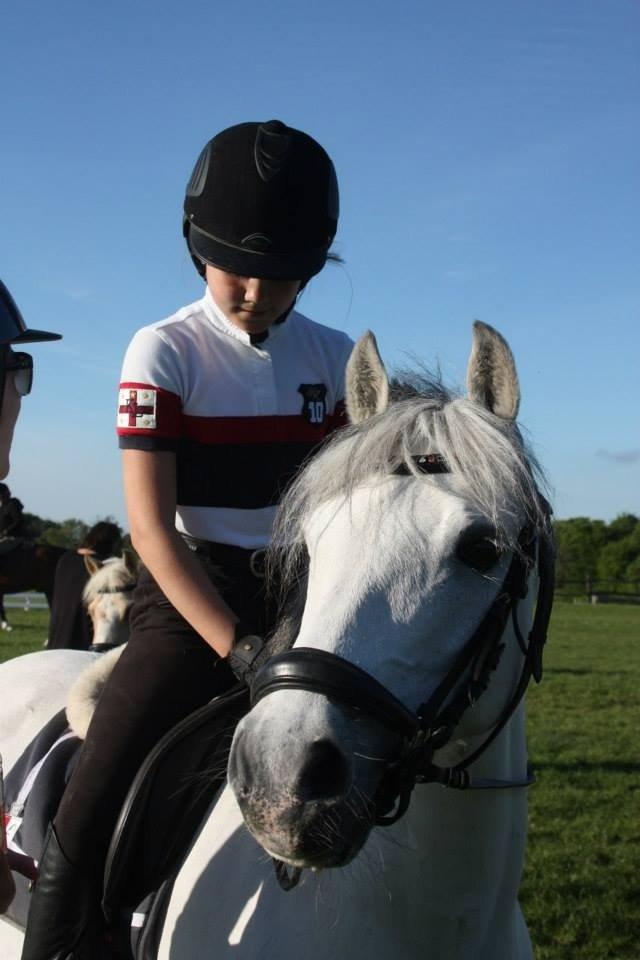 Welsh Pony (sec B) Korreborgs Sanitto billede 11