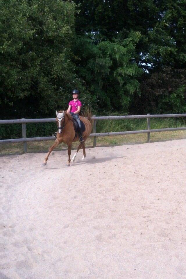 DSP RS Private Dancer - SOLGT billede 2