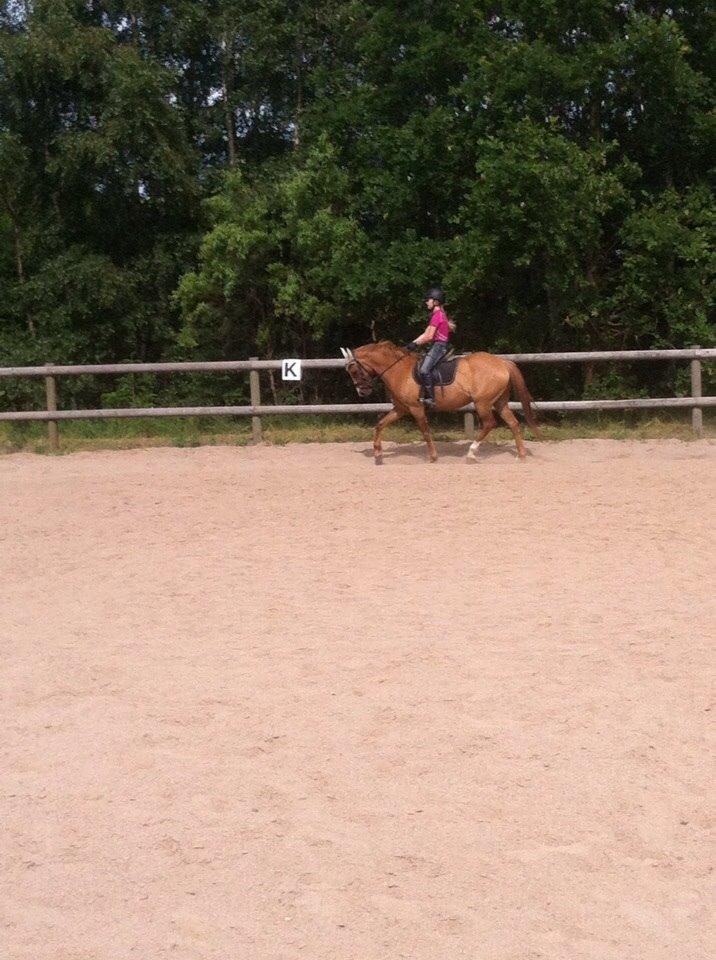 DSP RS Private Dancer - SOLGT billede 3