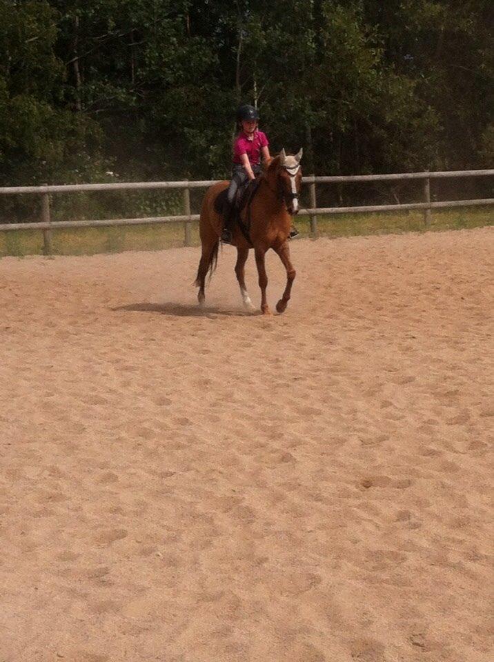 DSP RS Private Dancer - SOLGT billede 4